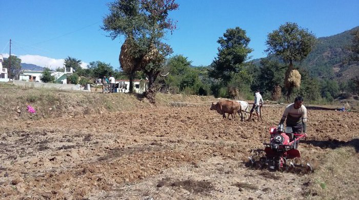 Use of technology for farming in Uttarakhand