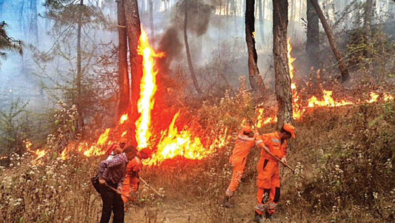 Forest Fire in Uttarakhand